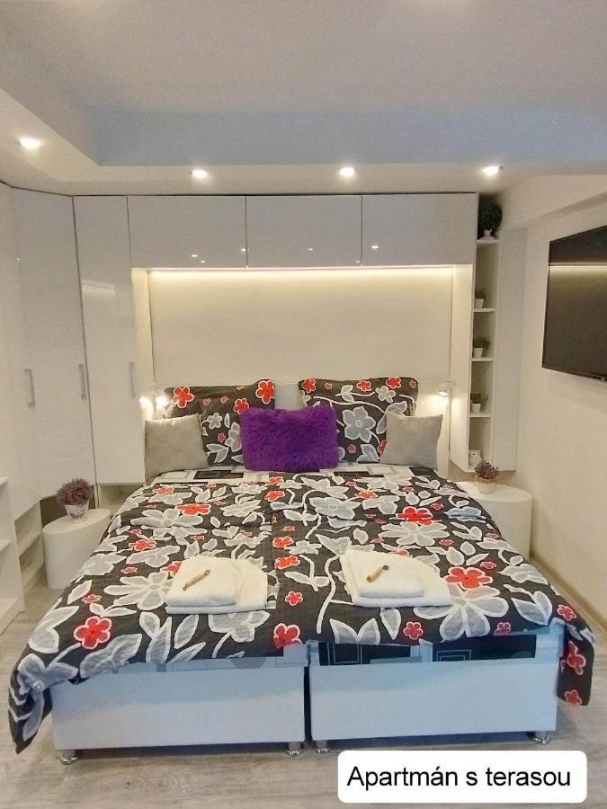 Dum Tamara Apartment Luhacovice Ngoại thất bức ảnh