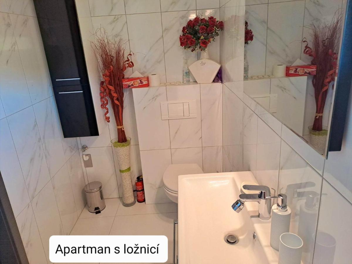 Dum Tamara Apartment Luhacovice Ngoại thất bức ảnh