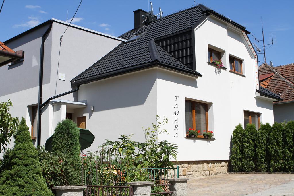 Dum Tamara Apartment Luhacovice Phòng bức ảnh